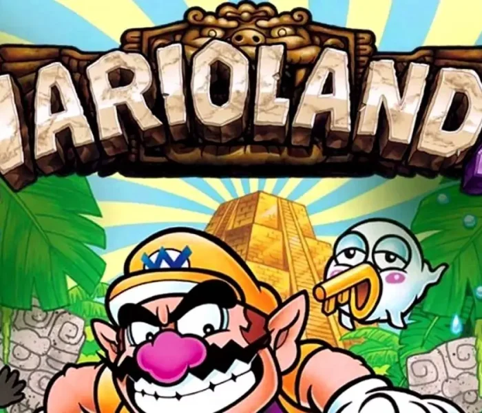 wario land-4